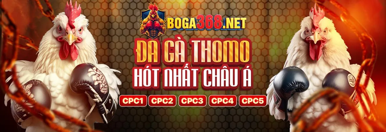 Đá Gà Trực Tuyến sodo666