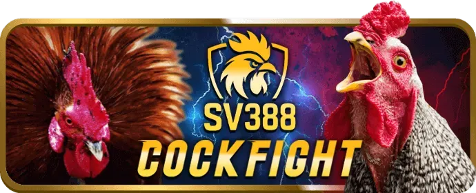 Dịch vụ hỗ trợ khách hàng 24/7 của sodo666
